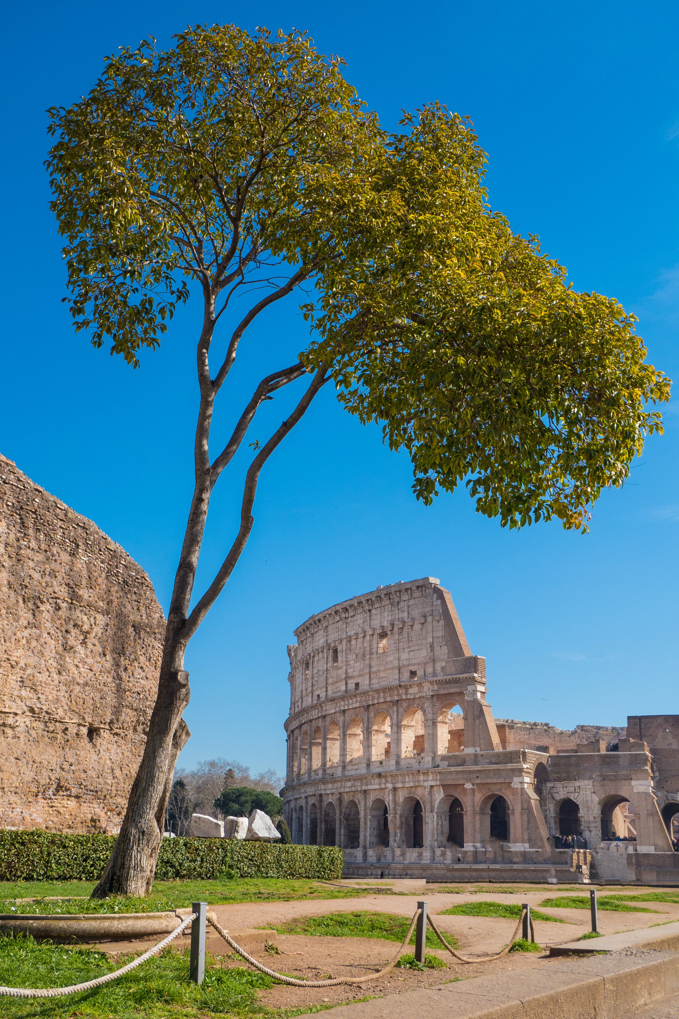 colosseo roma.jpg